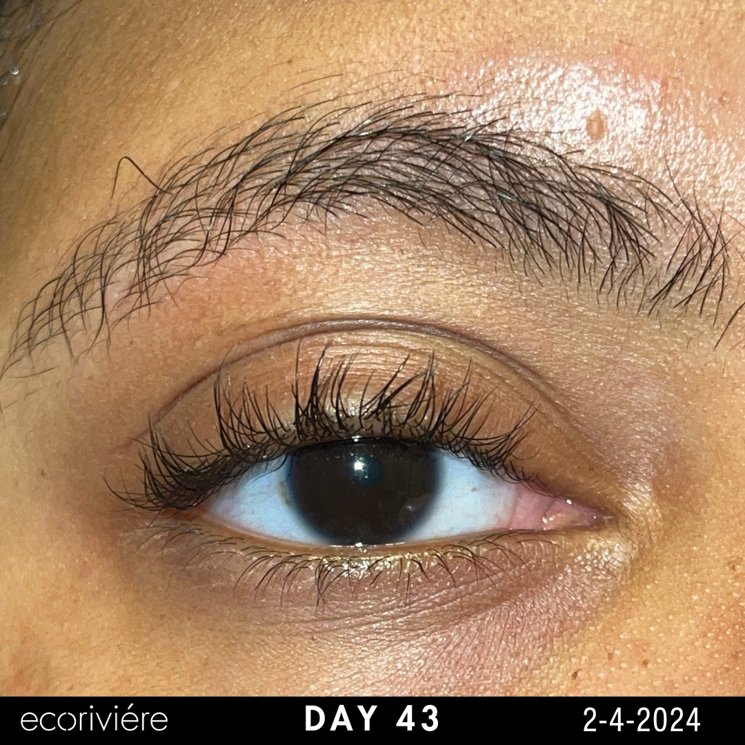 Premium Brow & Lash Growth Oil Organic Vegan Formula (Ecorivière)